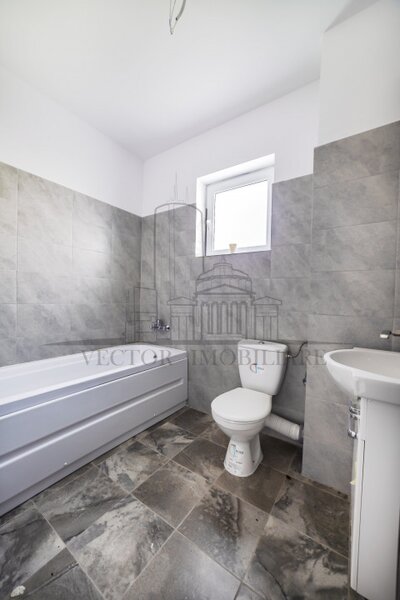 Theodor Pallady, Nicolae Teclu, bloc nou, investitie.