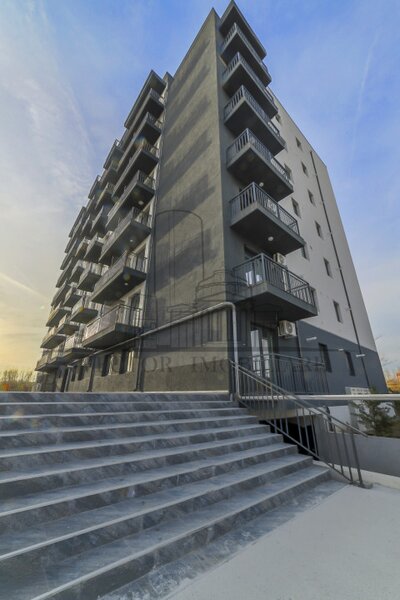 Theodor Pallady, Nicolae Teclu, bloc nou, investitie.