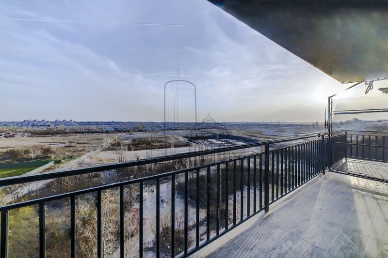 Theodor Pallady, Nicolae Teclu, bloc nou, investitie.